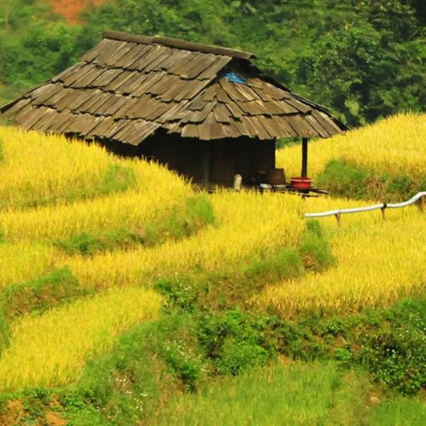 KHÁM PHÁ THUNG LŨNG MAI CHÂU