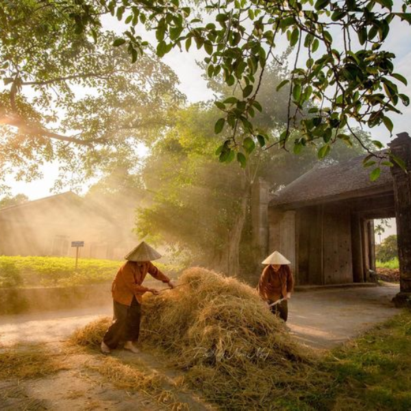 ĐƯỜNG LÂM - CHÙA MÍA - THÀNH CỔ SƠN TÂY - CHÙA KHAI NGUYÊN