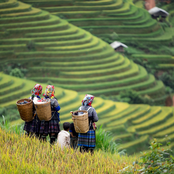  SAPA - CÁT CÁT - FANSIPAN- CHỢ BẮC HÀ