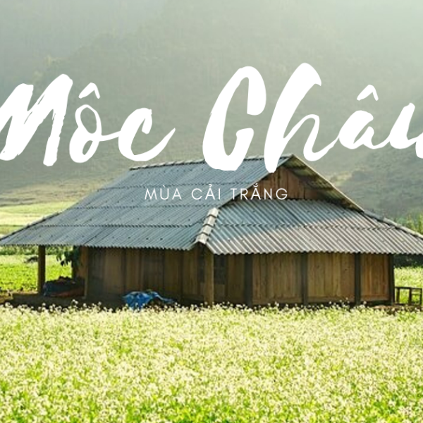 MAI CHÂU - MỘC CHÂU - CẦU KÍNH BẠCH LONG