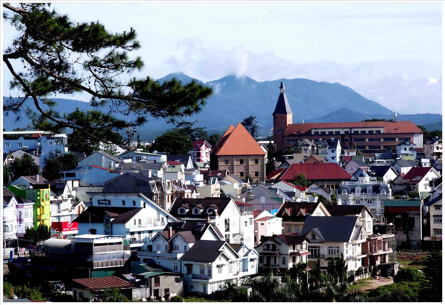 Khám phá Đà Lạt: Thành phố ngàn hoa và những góc bình yên