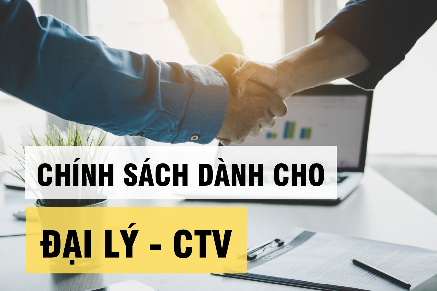 Các chính sách dành cho đối tác đại lý và CTV