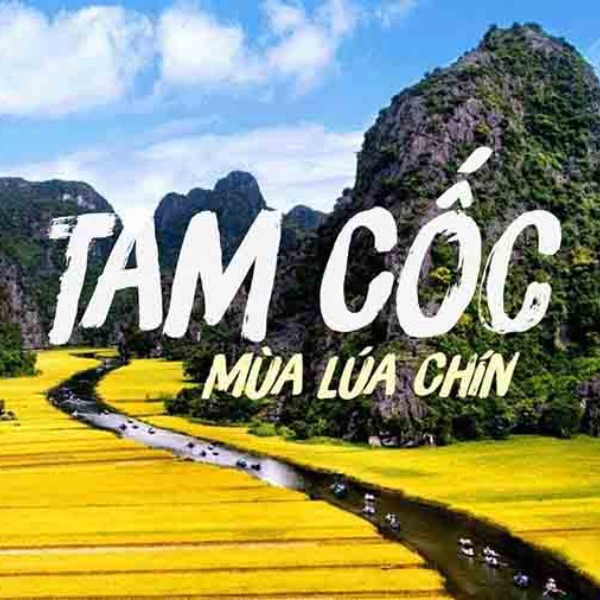 TUYỆT TỊNH CỐC - TAM CỐC - HANG MÚA